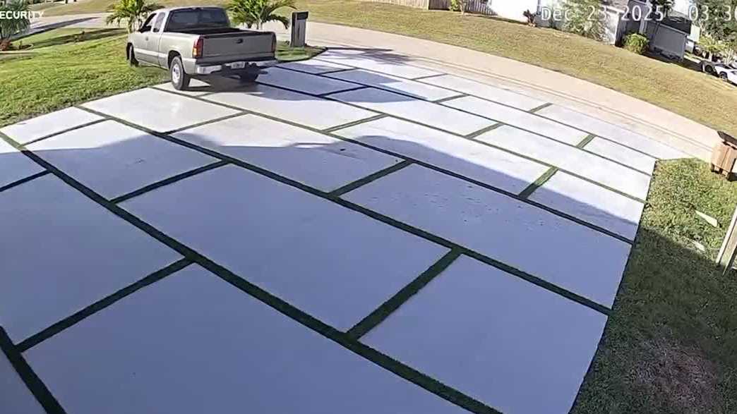 Cape Coral resident seeks apology after driver speeds through driveway