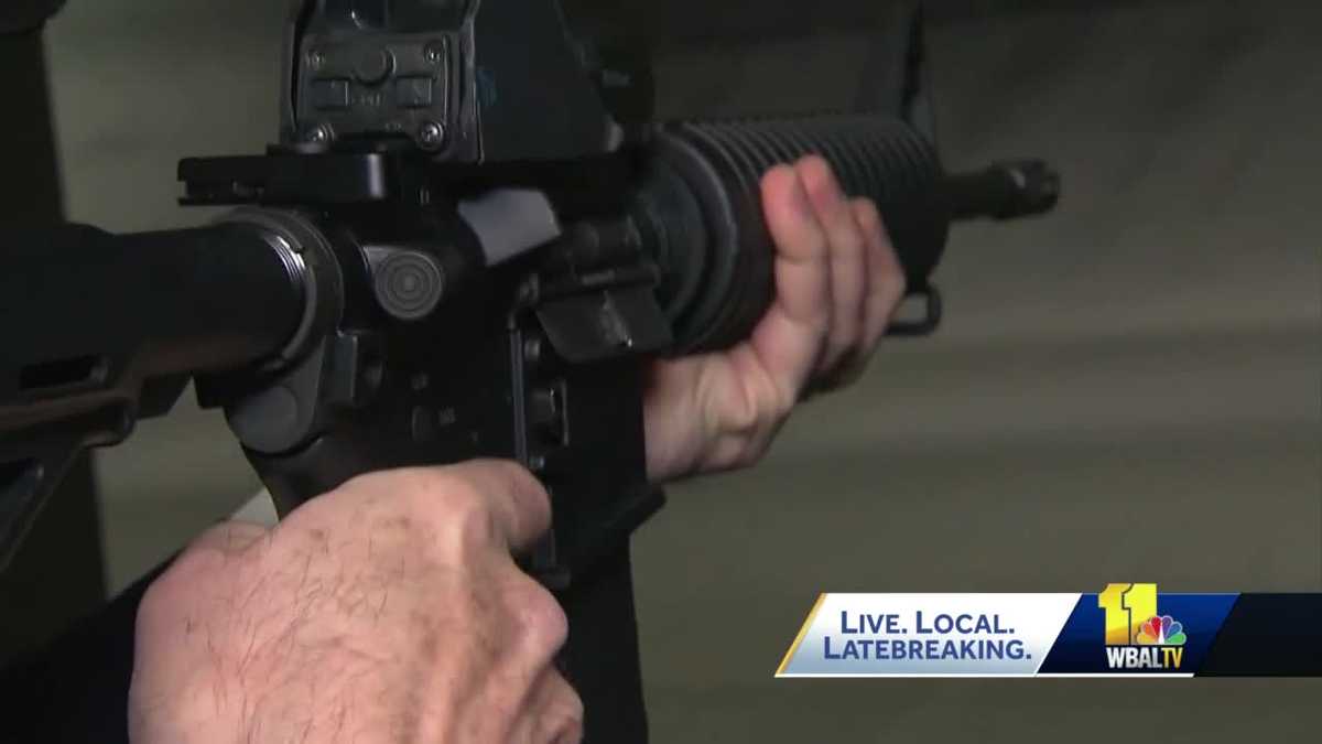 Experts share research on mass shootings, how to stop them