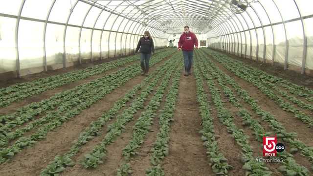 Cultivating and storing crops during winter months at Farmer Dave's - Vimarsana News
