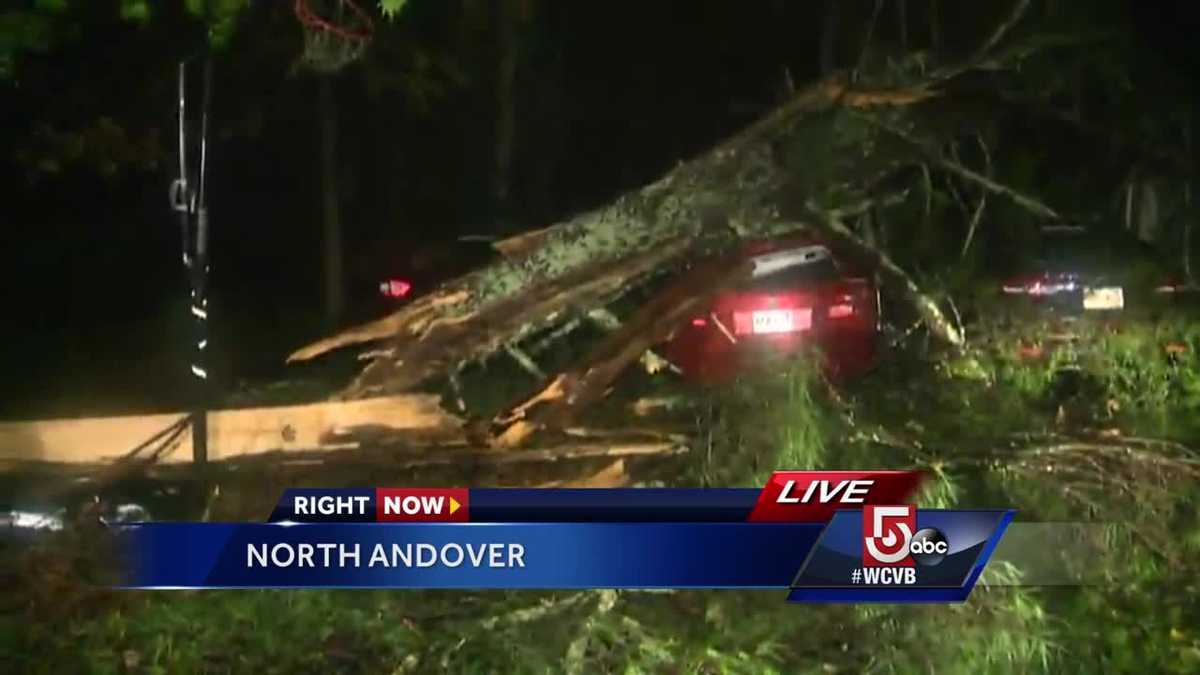 Storm Downs Trees Across State