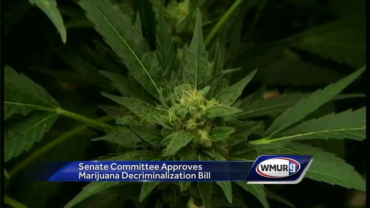 Marijuana Decriminalization Bill Moves Forward In Senate