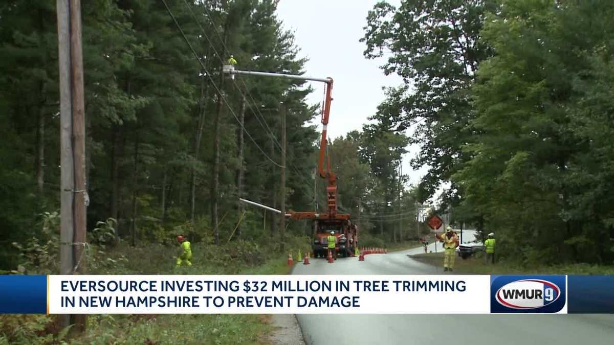 Eversource investing 32 million in tree trimming in NH to prevent damage