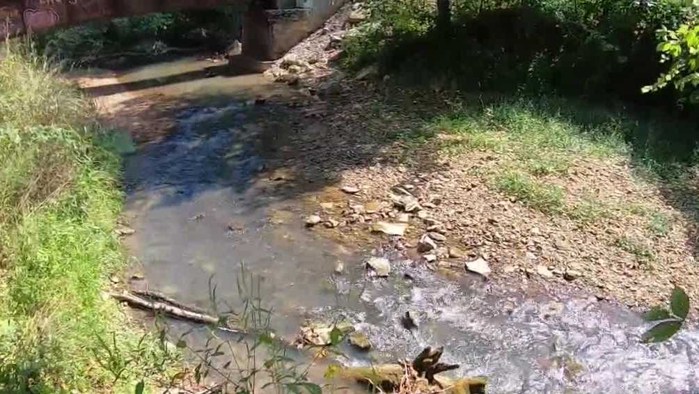 Get the Facts: Why is there a continued push to remove low-head dams in Kentucky?