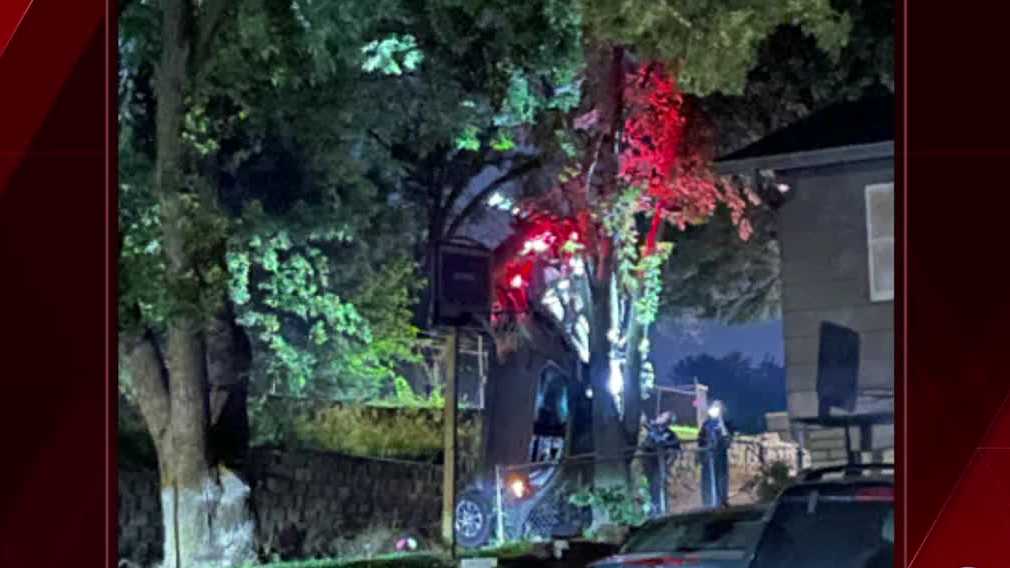 Bellevue crash lands a vehicle vertically against a tree