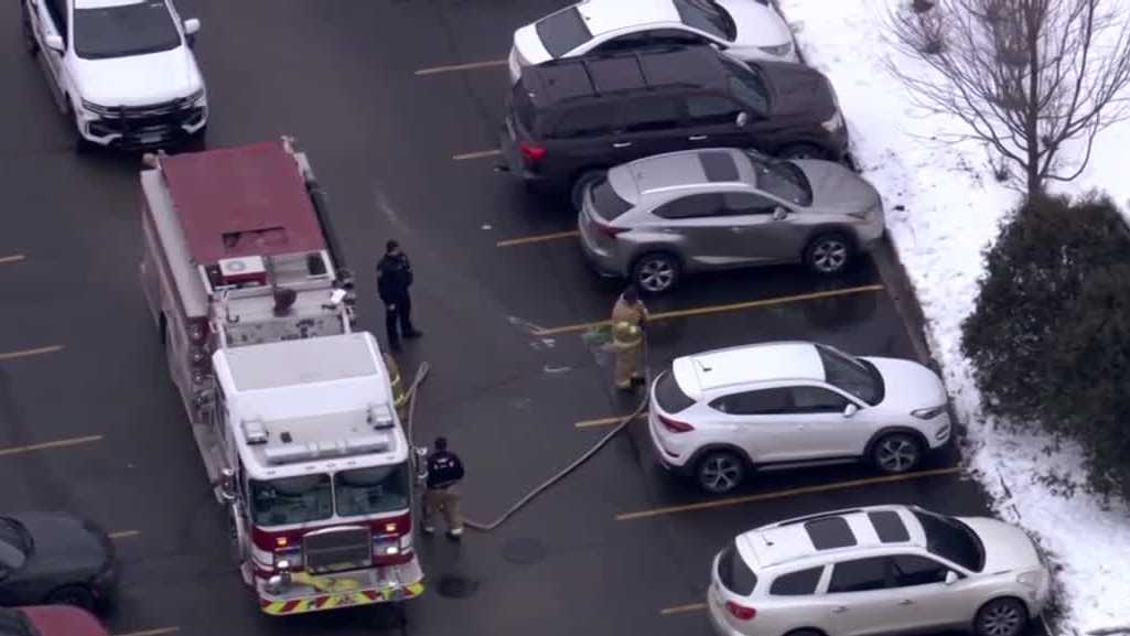 Waukesha woman charged after 'random' attack spree in Illinois - WISN