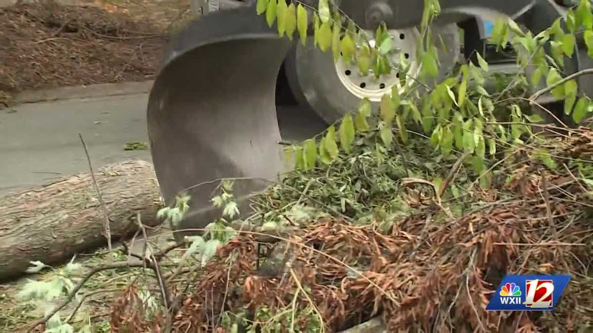 Rain is coming down, but could your trees? Tree service shares how prevent tree damage to your home