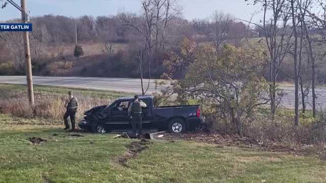 Police: Iowa man crashed stolen vehicle into tree - Vimarsana News