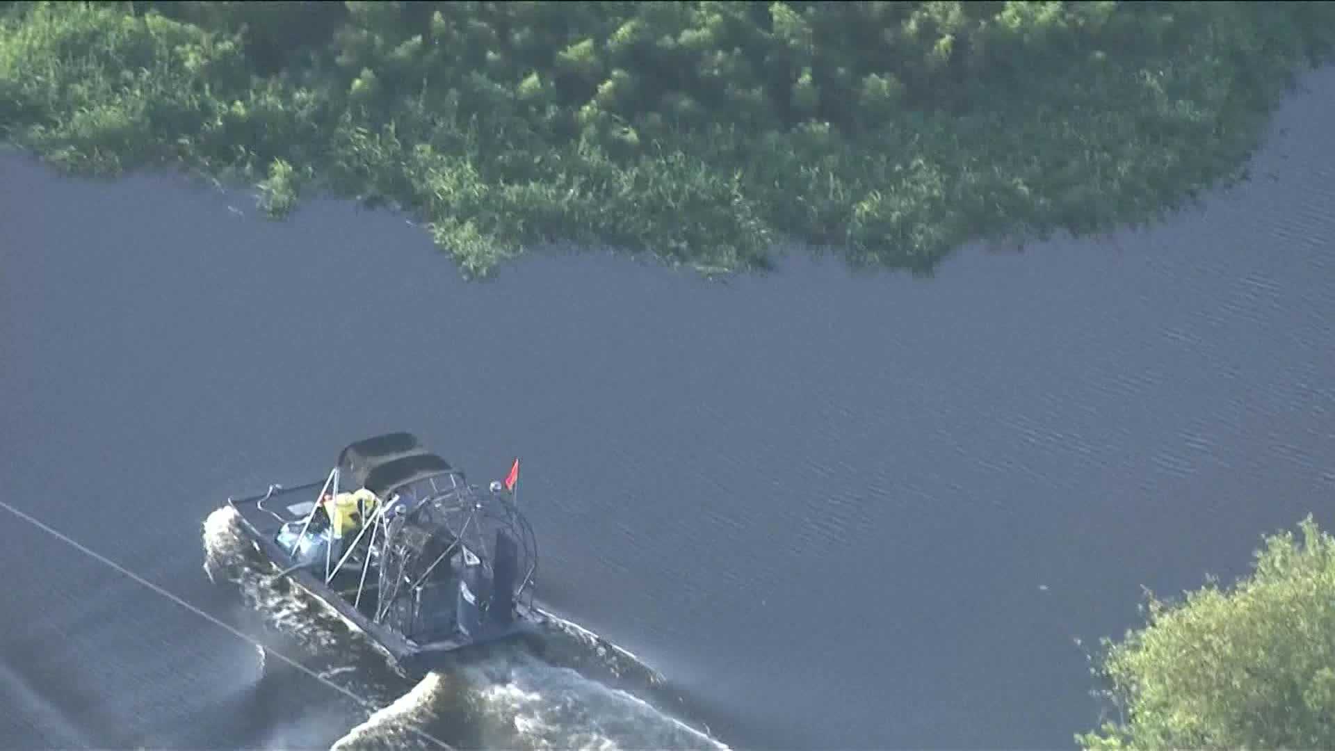 Sarasota man hospitalized after alligator attack - Vimarsana News