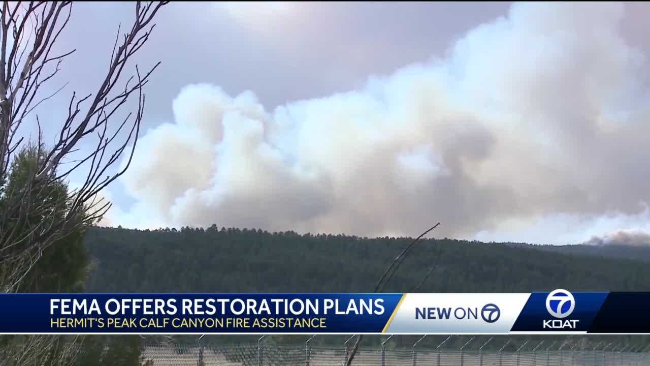 FEMA Partners With USDA To Offer Restoration Plans For Wildfire Victims