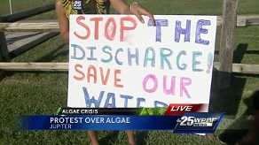 Protest over algae