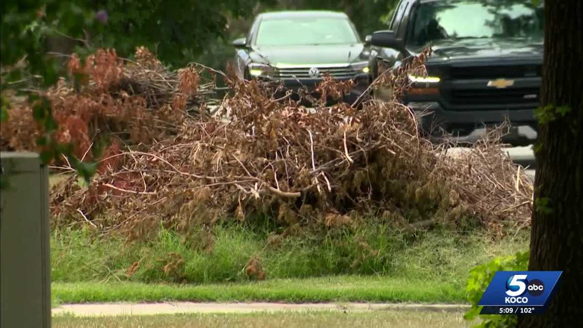 Norman adds trucks and 7-day crews after Fourth of July winds scatter trees citywide