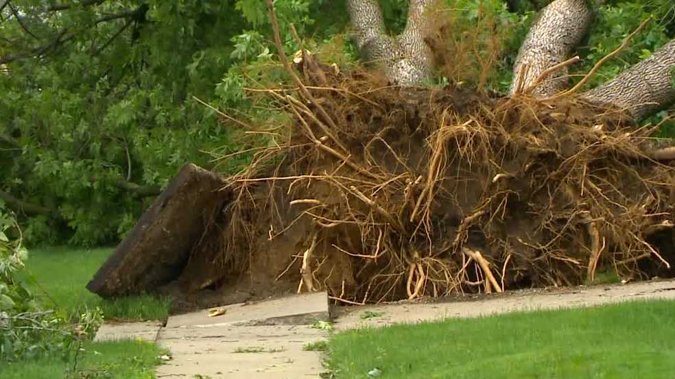 Iowans clean up after storm damage hits Des Moines metro - Vimarsana News