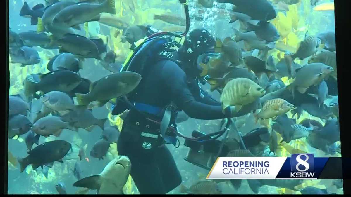 Monterey Bay Aquarium to host second job fair