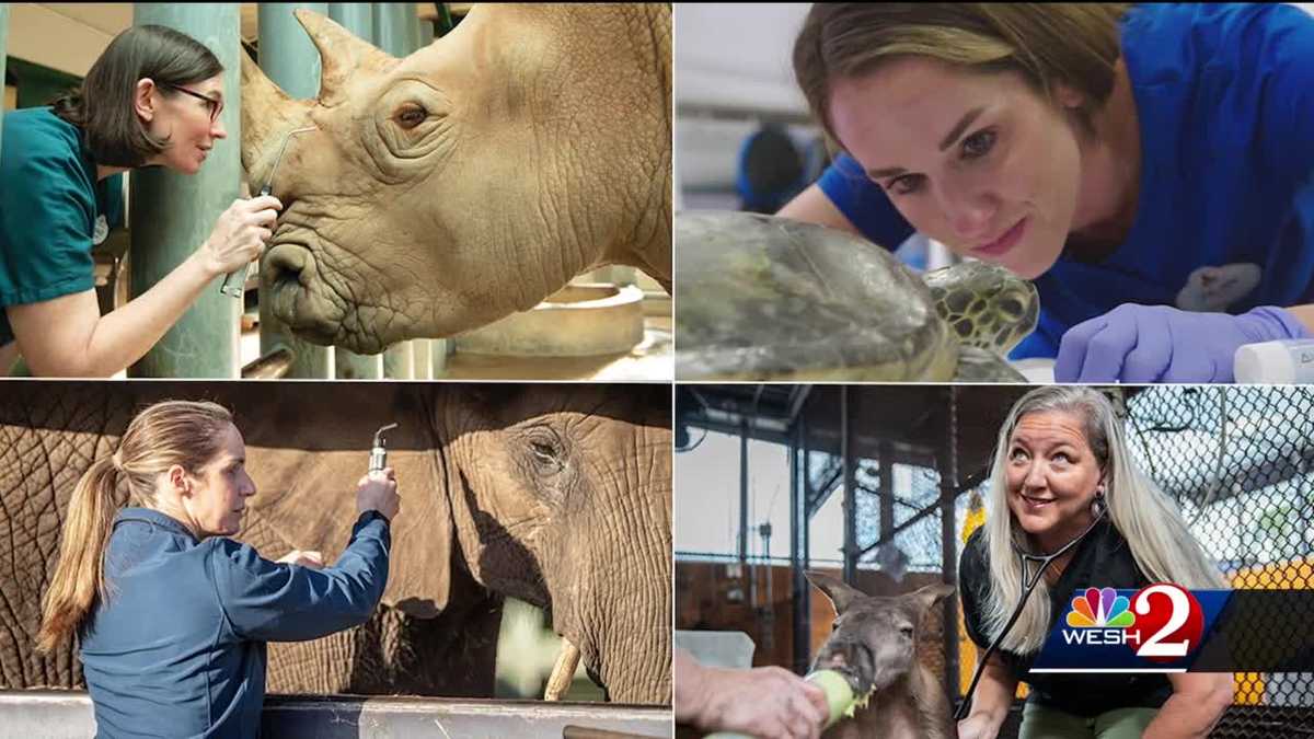 Walt Disney World women veterinarians breaking barriers