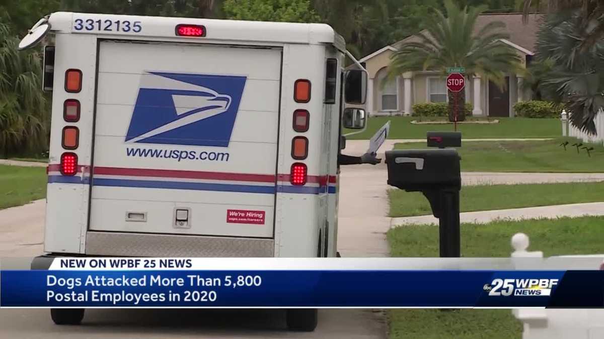 usps-workers-push-through-snow-rain-heat-dog-attacks