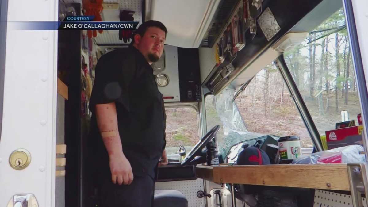 Wild Turkey crashes through windshield