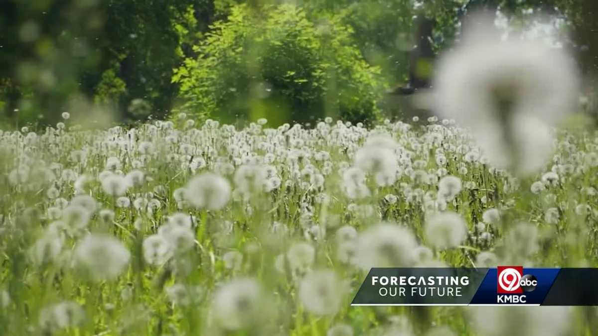 Kansas City allergy season worse due to climate change
