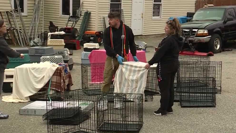 Animal control seizes dozens of animals from an Alfred home