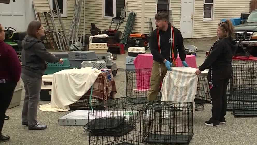Animal control seizes dozens of animals from an Alfred home