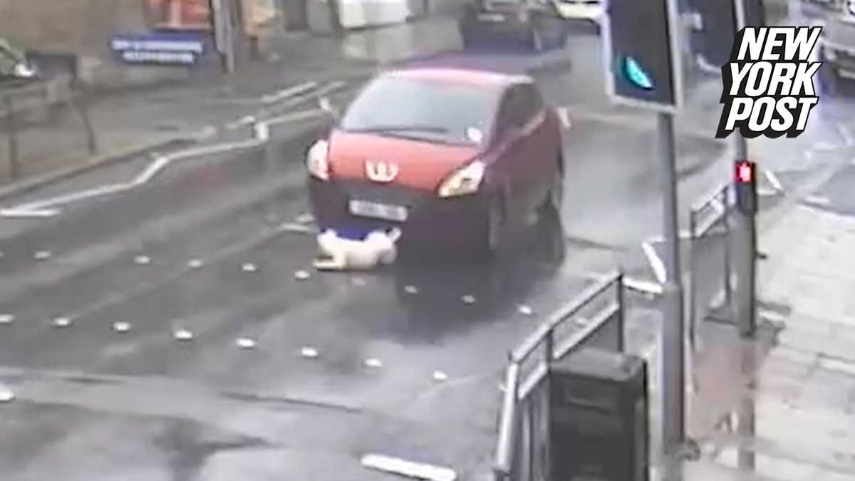 Dog shockingly survives being dragged 600 feet by car