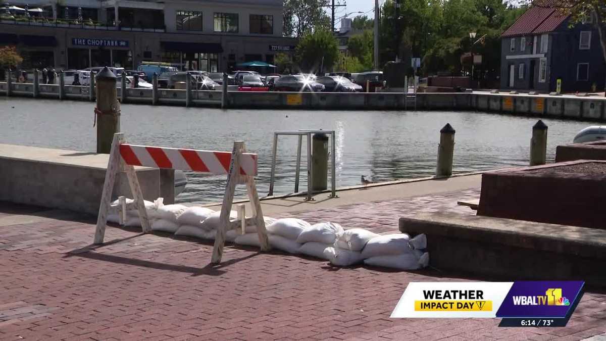 Annapolis City Dock Businesses Prepare for Nor'easter Flooding - News Directory 3