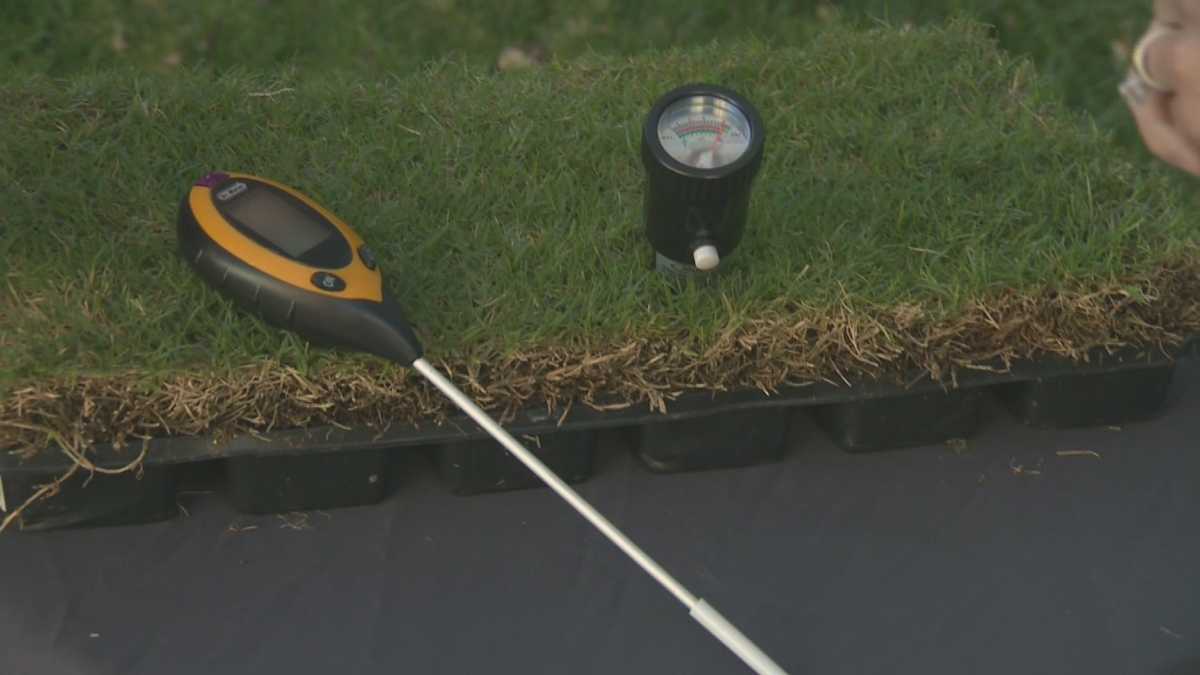 Tips to keep your lawn green in a drought
