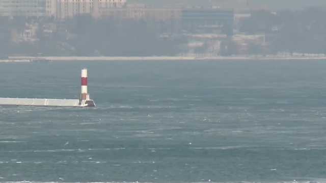 Lack of ice impacting Lake Michigan's ecosystem - Vimarsana News