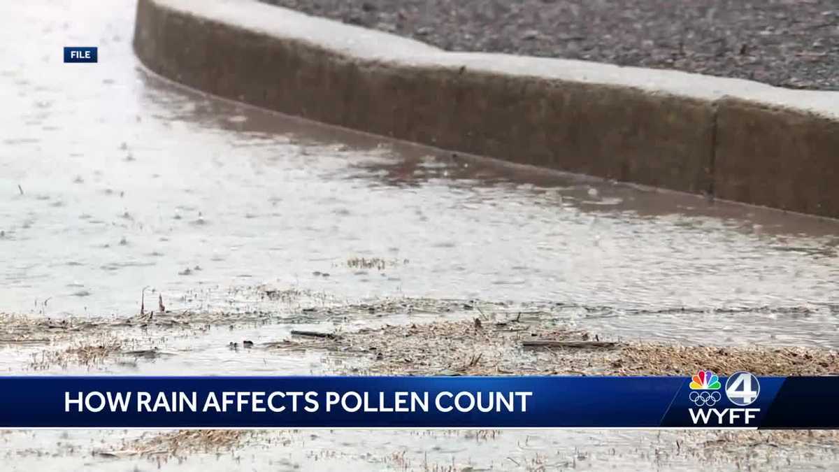 South Carolina Does rain help pollen sufferers?