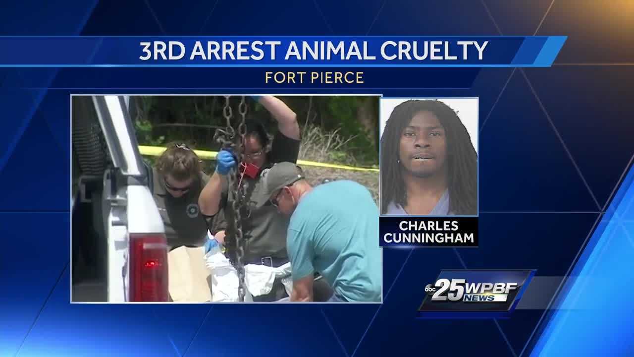 Another Arrest In Animal Cruelty Case