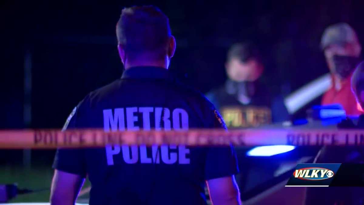 Full Metro Council votes to approve civilian review board ordinance for ...