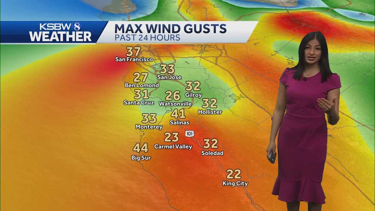 Heavy rain to hit Central Coast along with winds on Tuesday