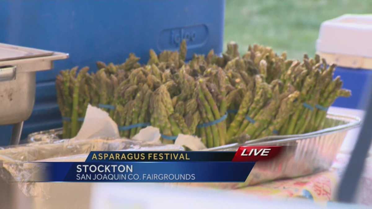 It’s game time for the San Joaquin Asparagus Festival