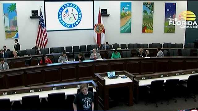 Child custody rights center of FL bill on gender-affirming care - Vimarsana News