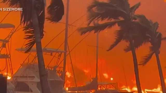 Local Red Cross volunteers are heading to Hawaii to help those affect by the fires - Vimarsana News
