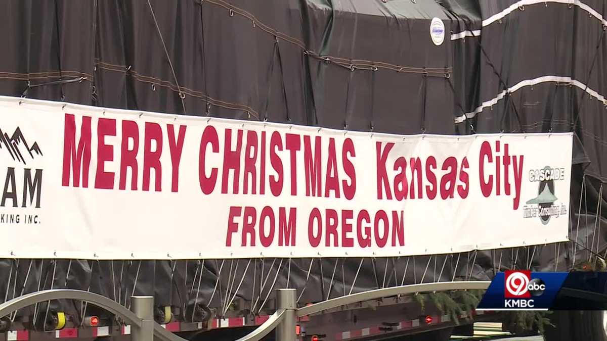 KC mayor's larger than life Christmas tree arrives today