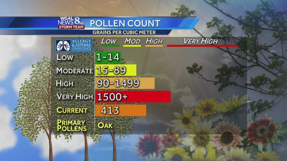 Are your allergies getting worse? Check out these tips