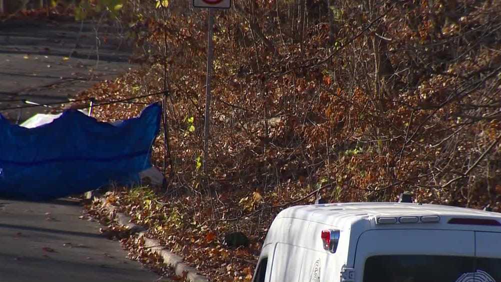 Police identify woman whose body was found along Des Moines road