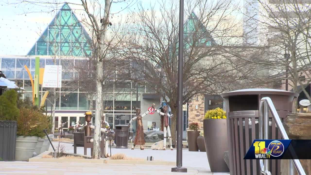 The Mall in Columbia looking into youth escort policy