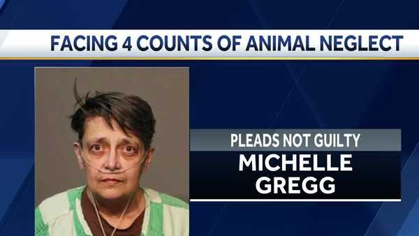 wdm woman charged with animal neglect