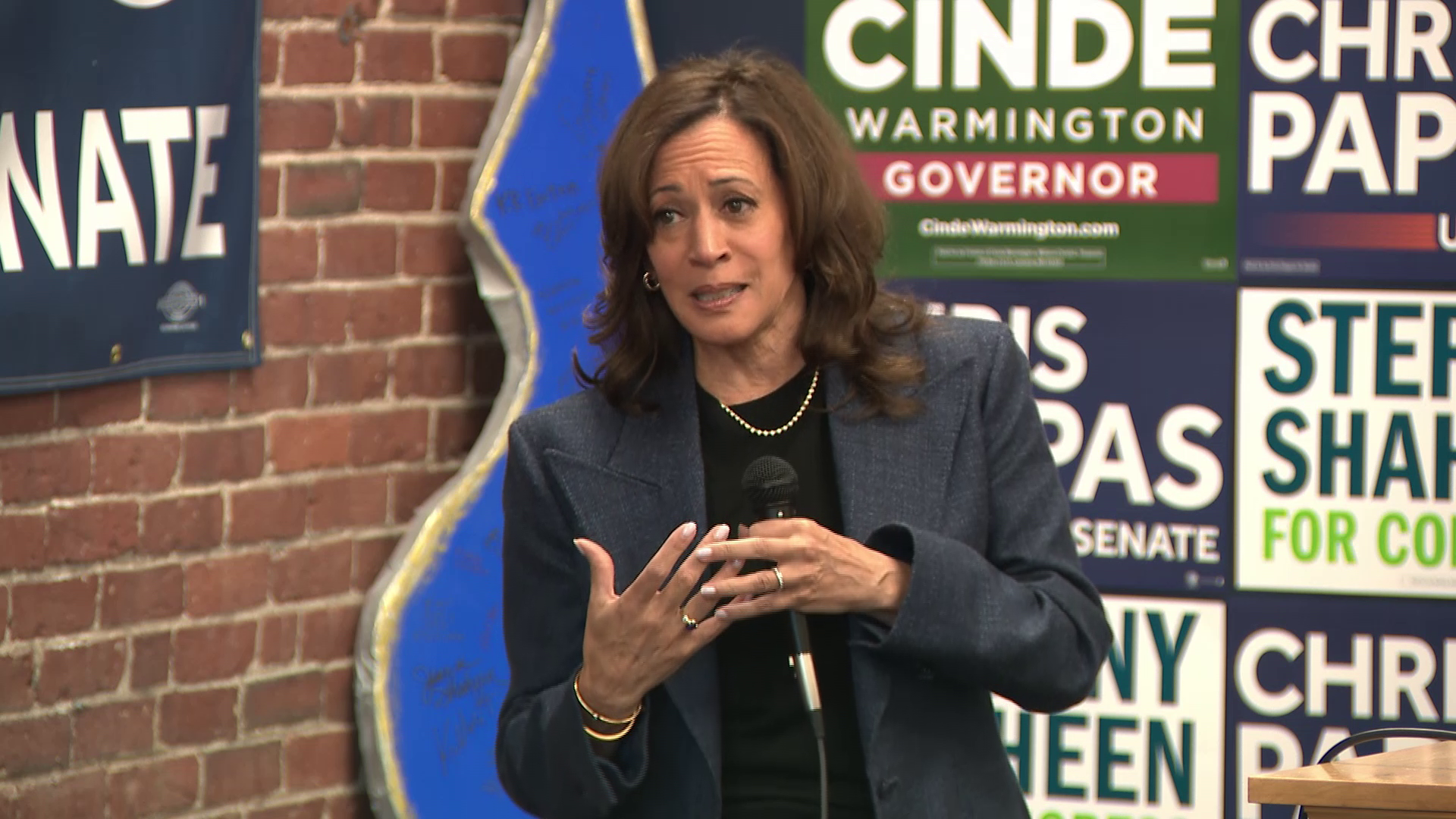 Former Vice President Kamala Harris campaigns with Democrats in New Hampshire