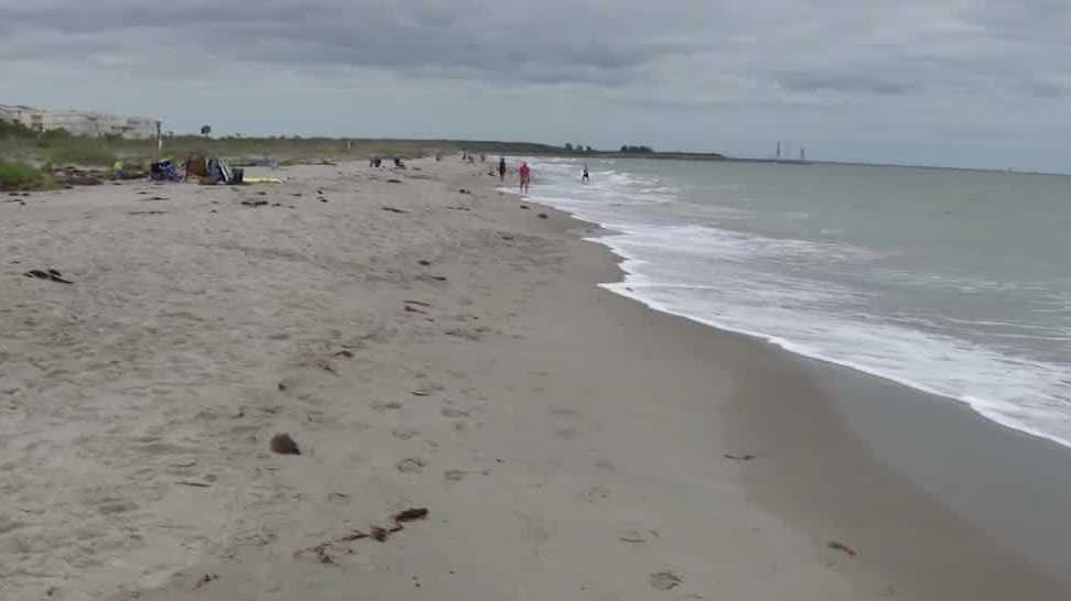 Woman attacked by dog on beach in Brevard County