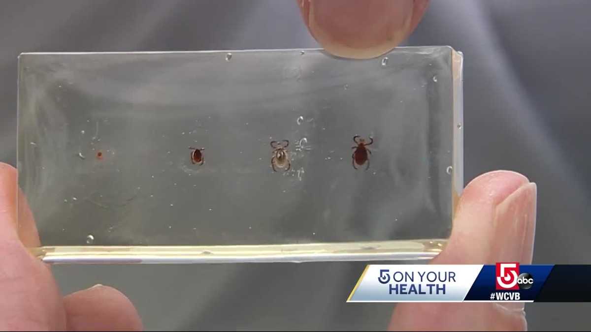State Launches New Warning System For Tick Activity