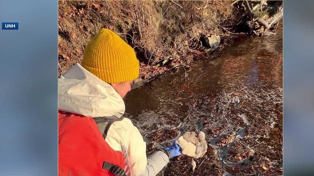 UNH researchers find concentrated PFAS in foam in New Hampshire waterways