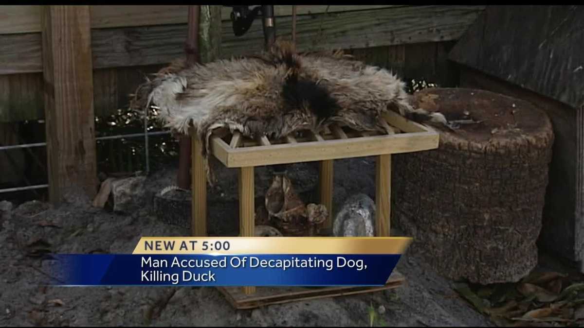 Man accused of cutting dog's head off