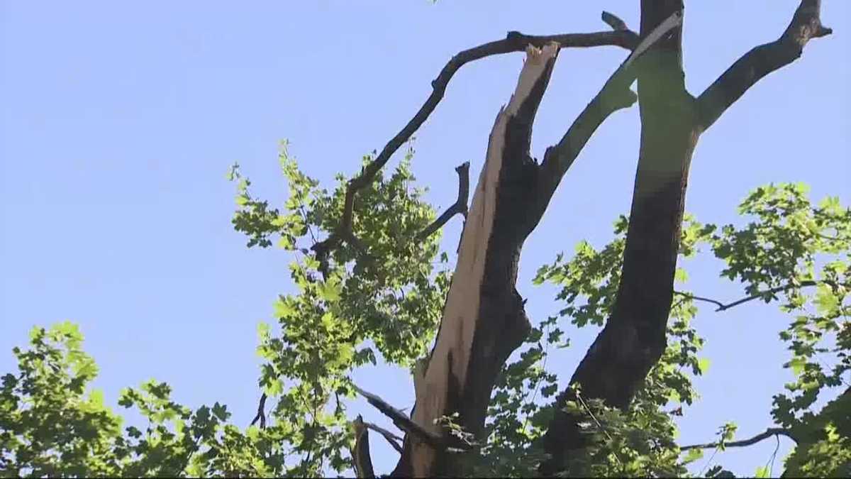 Saturday microburst confirmed in New Hampshire