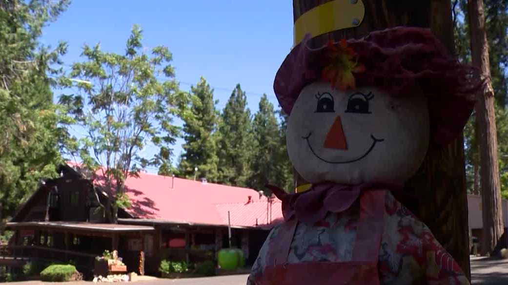 Apple Hill season gets an early start with High Hill Ranch opening this weekend