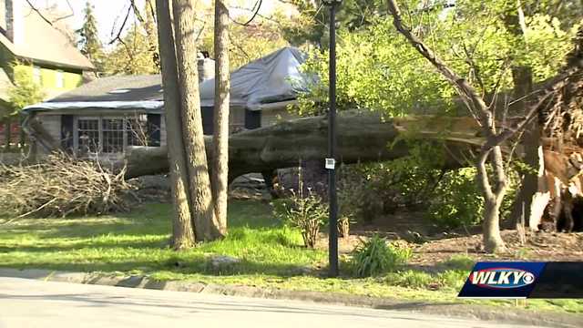 Neighbors continue clean up following Wednesday's storm - Vimarsana News