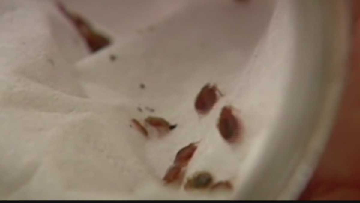 More reports of bed bugs at Wisconsin Dells hotel