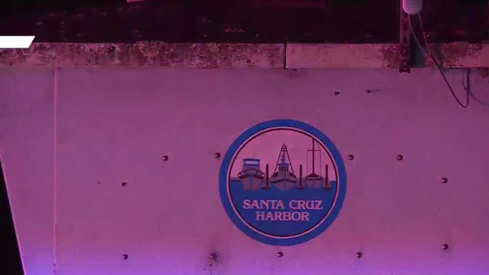 1 person arrested in shooting at Santa Cruz harbor, 1 suspect sought