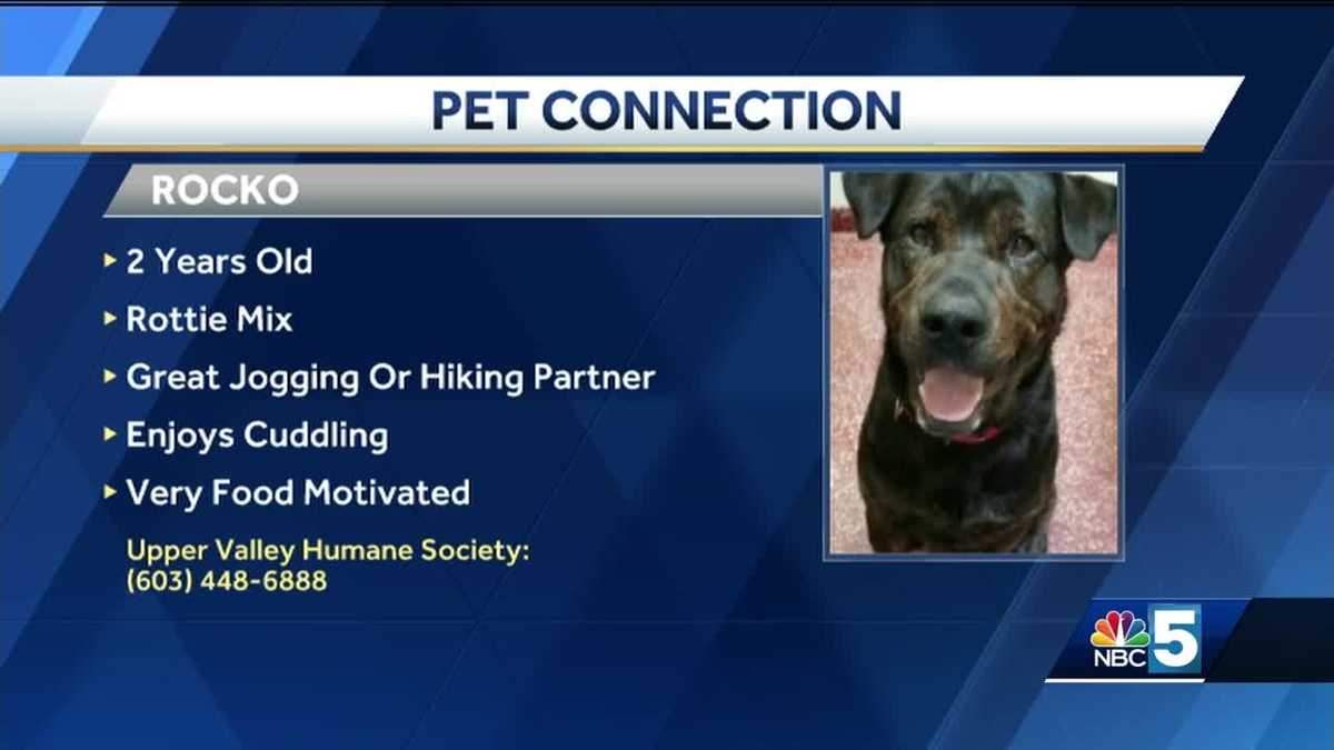 Pet Connection: 12-6